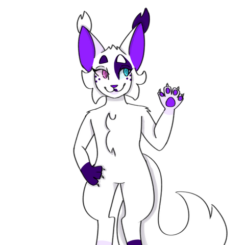 Violet the Cat